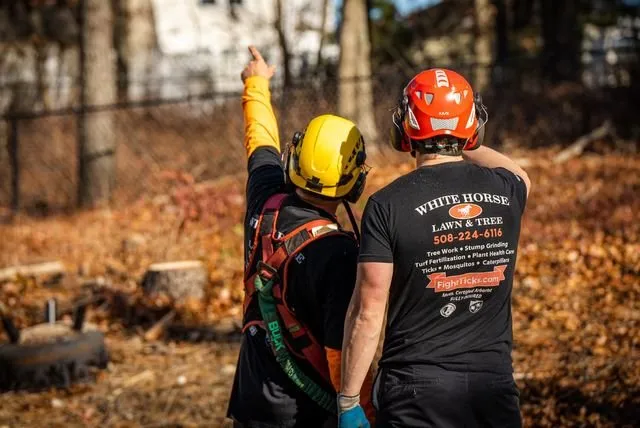 Local yard maintenance with custom design in Plymouth, MA by White Horse Lawn and Tree