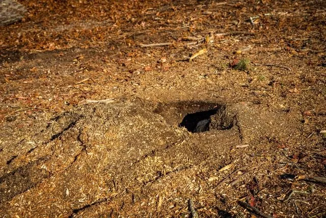 Trusted lawn mowing service for beautiful yards across Plymouth, MA - White Horse Lawn and Tree