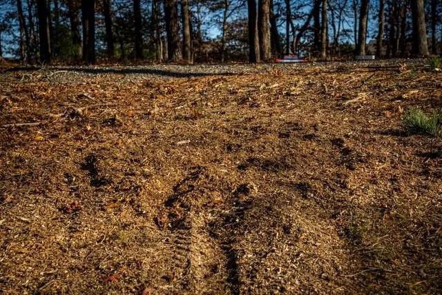 Trusted garden landscaping in Plymouth, MA by White Horse Lawn and Tree