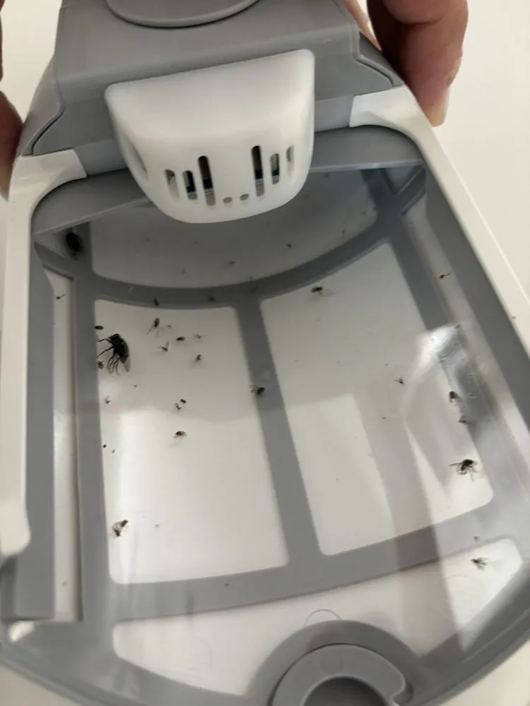 Custom landscape design for homes across Yorba Linda, CA - White Knight Pest Control