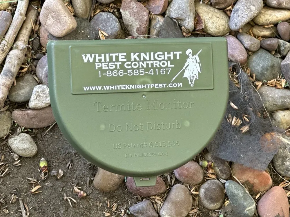 Professional yard cleanup service in Yorba Linda, CA - White Knight Pest Control