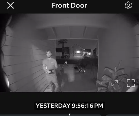 White Knight Pest Control