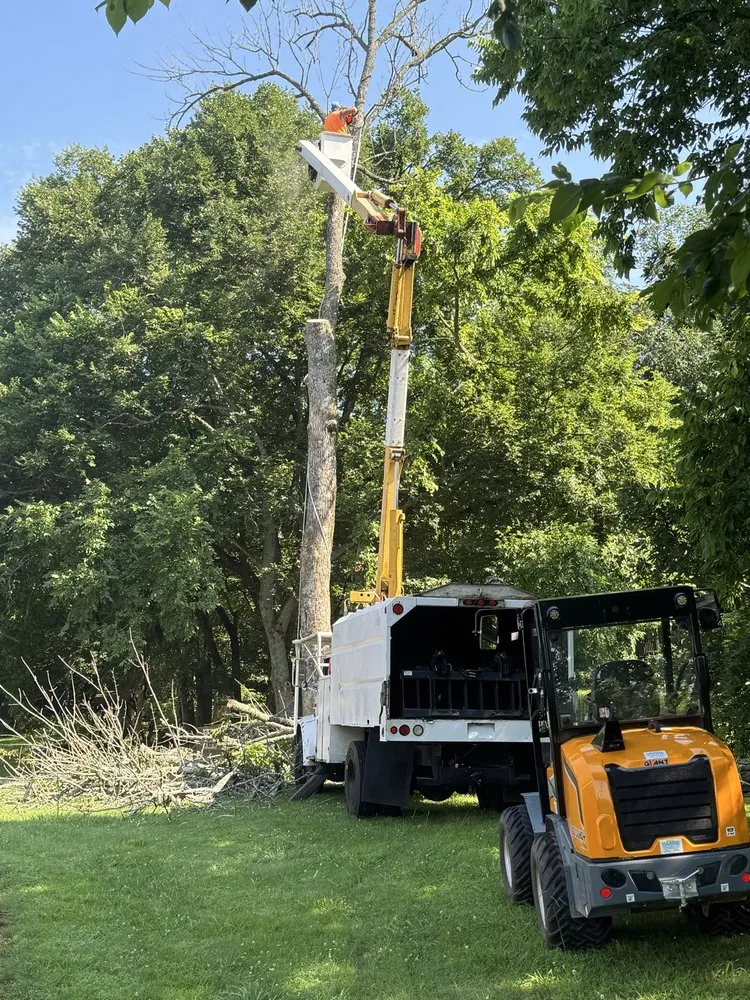 Trusted garden landscaping in Carthage, TN - White Land Management