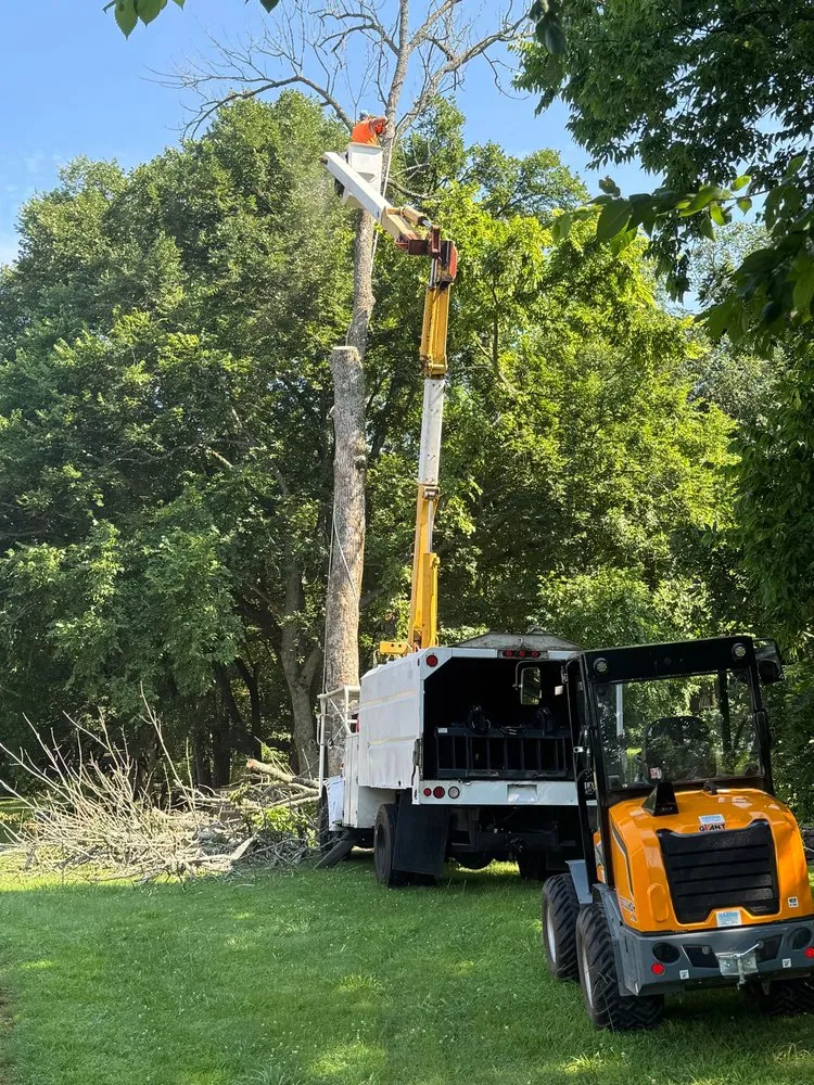 Professional landscaping services for beautiful yards in Carthage, TN by White Land Management