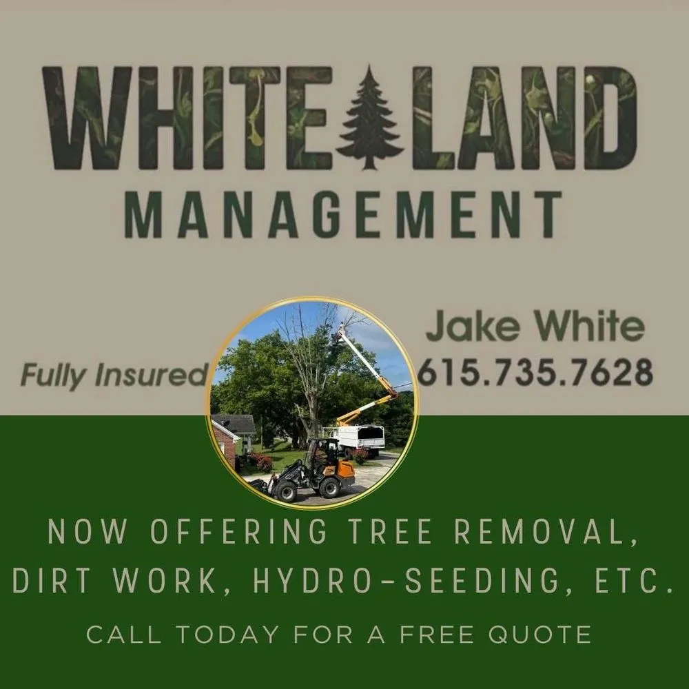 Professional yard maintenance in Carthage, TN by White Land Management