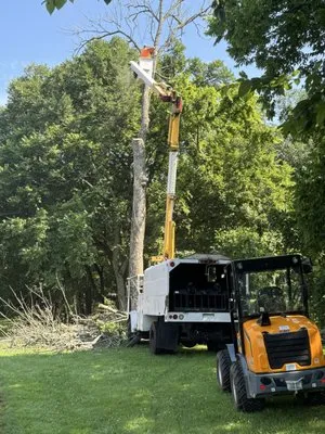 White Land Management