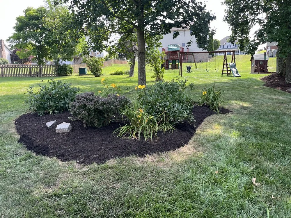 Expert yard cleanup service experts serving Irwin, PA - White Landscaping Services