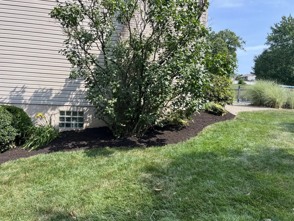 Top-rated residential landscaping near you across Irwin, PA - White Landscaping Services