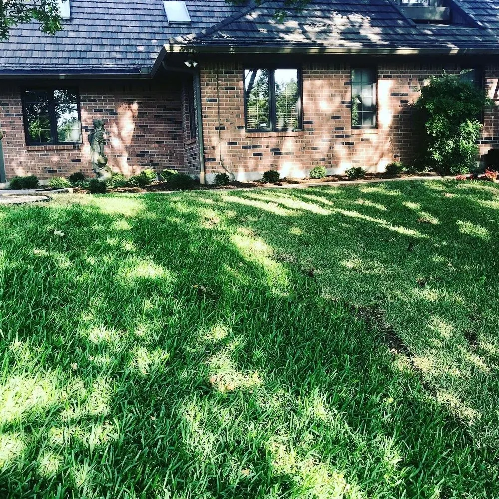 Custom yard cleanup service in Cleburne, TX by White Lawn Care