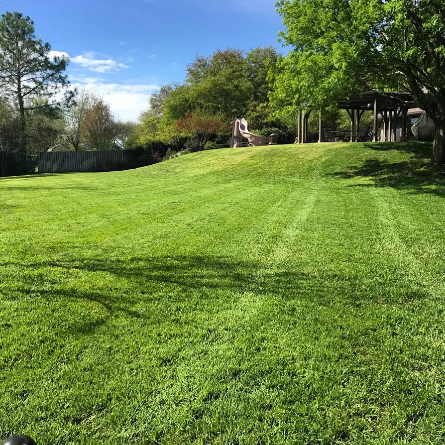 Top-rated yard cleanup service for beautiful yards in Cleburne, TX by White Lawn Care