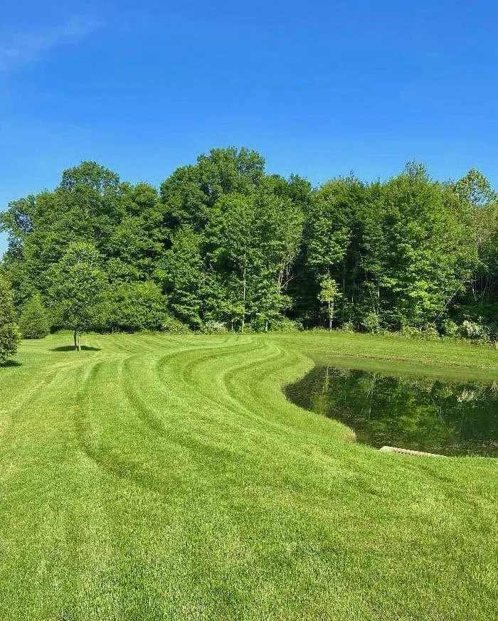 Affordable yard cleanup service near you across West Hamlin, WV - White Lightning Landscapes & Lawn Care