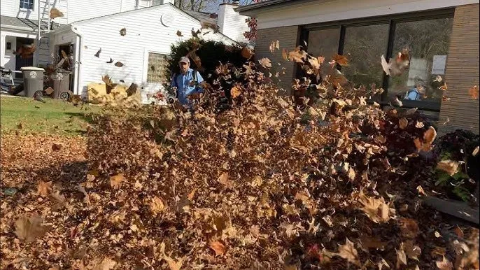 Expert garden landscaping near you across Southport, NC - White Magnolia Landscaping