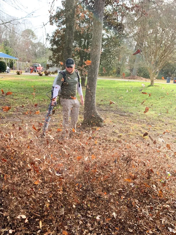 Reliable yard cleanup service in Ark, VA by White Mills Landscaping
