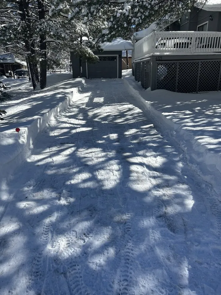 Professional yard cleanup service in Lakeside, AZ - White Mountain Yard Services