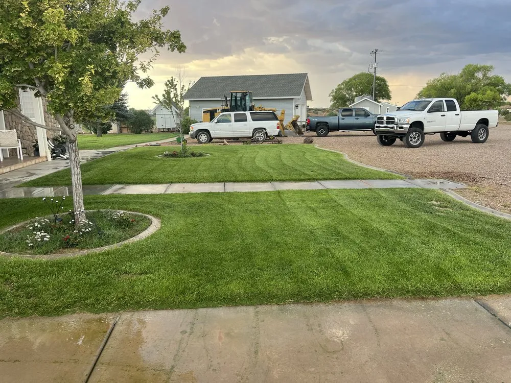 Local yard cleanup service in Snowflake, AZ by White mountain Yardworks