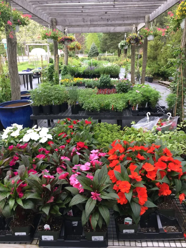 Affordable landscape design in Shelter Island, NY by White Oak Farm And Gardens