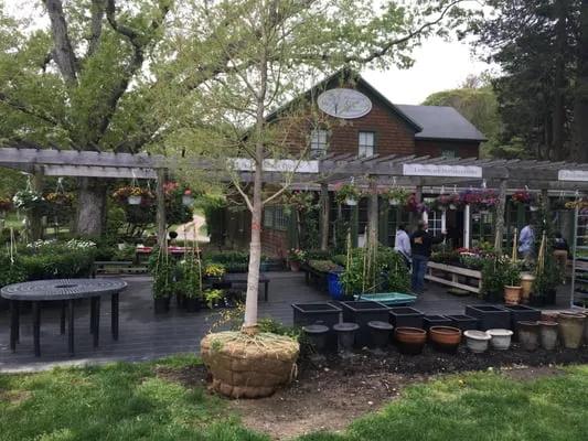 White Oak Farm And Gardens