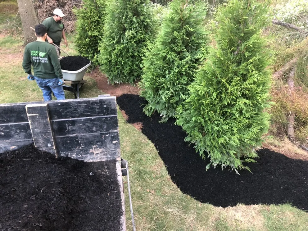 Top-rated yard cleanup service in Bound Brook, NJ - White Oak Landscaping & Construction