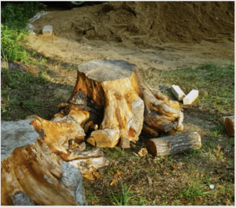 Reliable residential landscaping experts serving Bound Brook, NJ - White Oak Landscaping & Construction