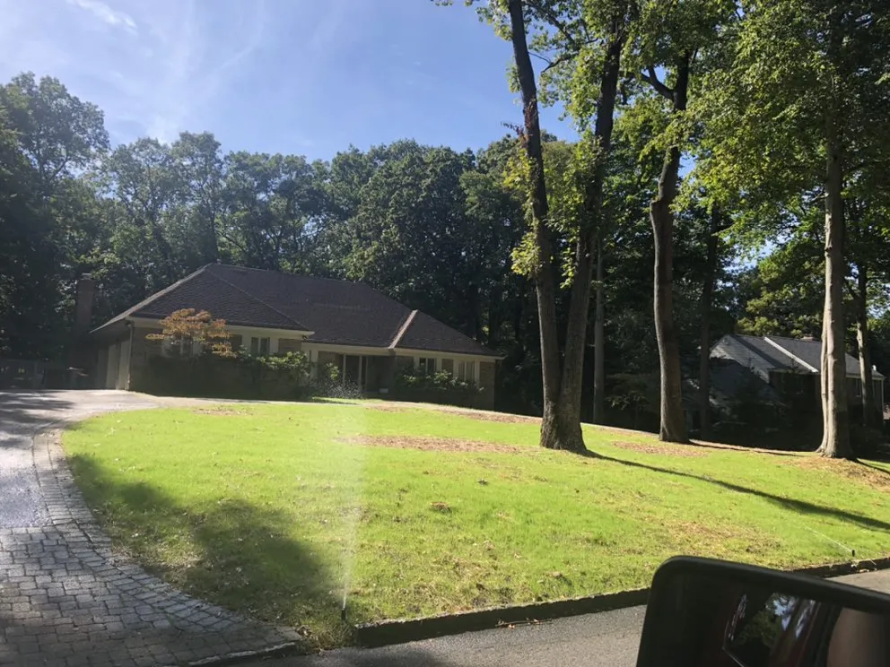 Expert yard cleanup service near you in Bound Brook, NJ by White Oak Landscaping & Construction