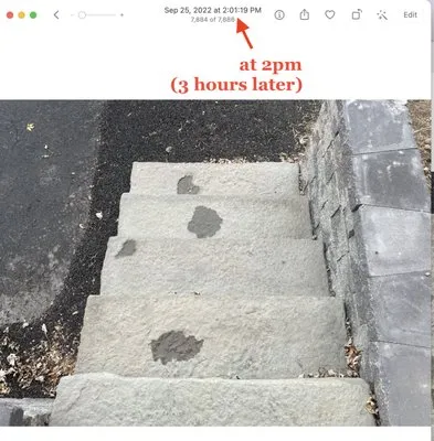 White Oak Landscaping & Stonework Logo