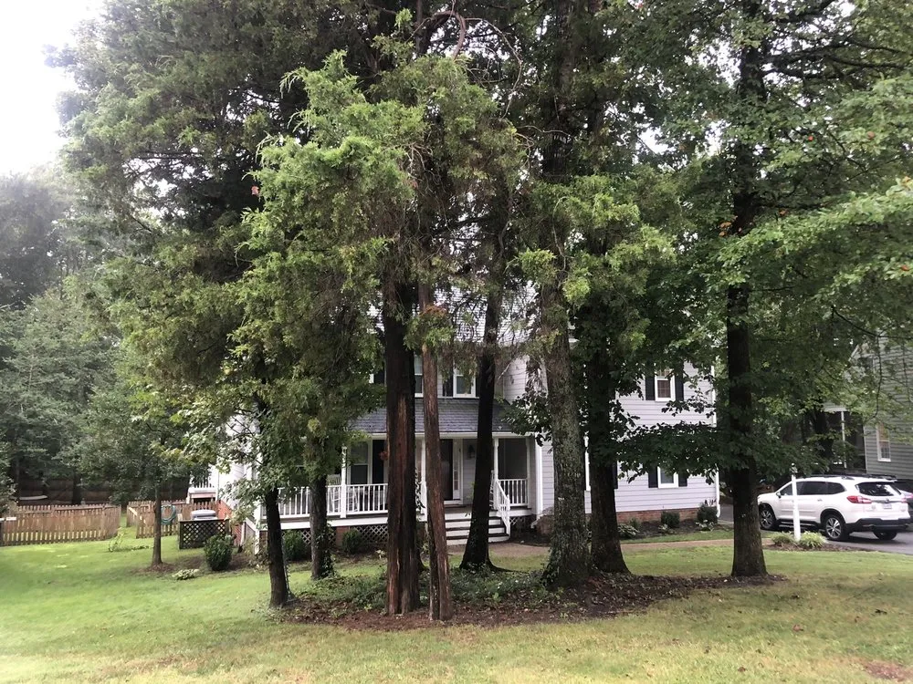 Local landscaping services for outdoor upgrades across Glen Allen, VA - White Oak Landscaping and Grading LLC