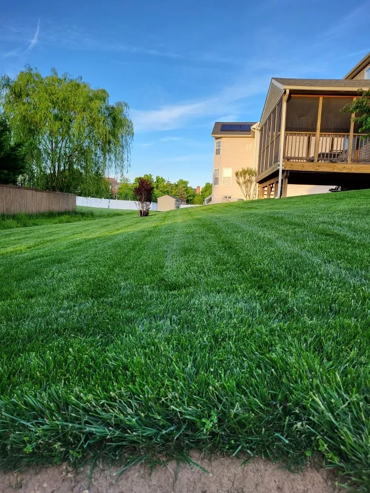 Top-rated yard cleanup service in Strasburg, PA - White Oak Landscaping