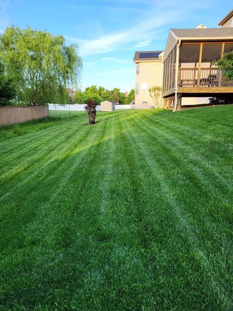 Top-rated landscape installation for year-round maintenance across Strasburg, PA - White Oak Landscaping