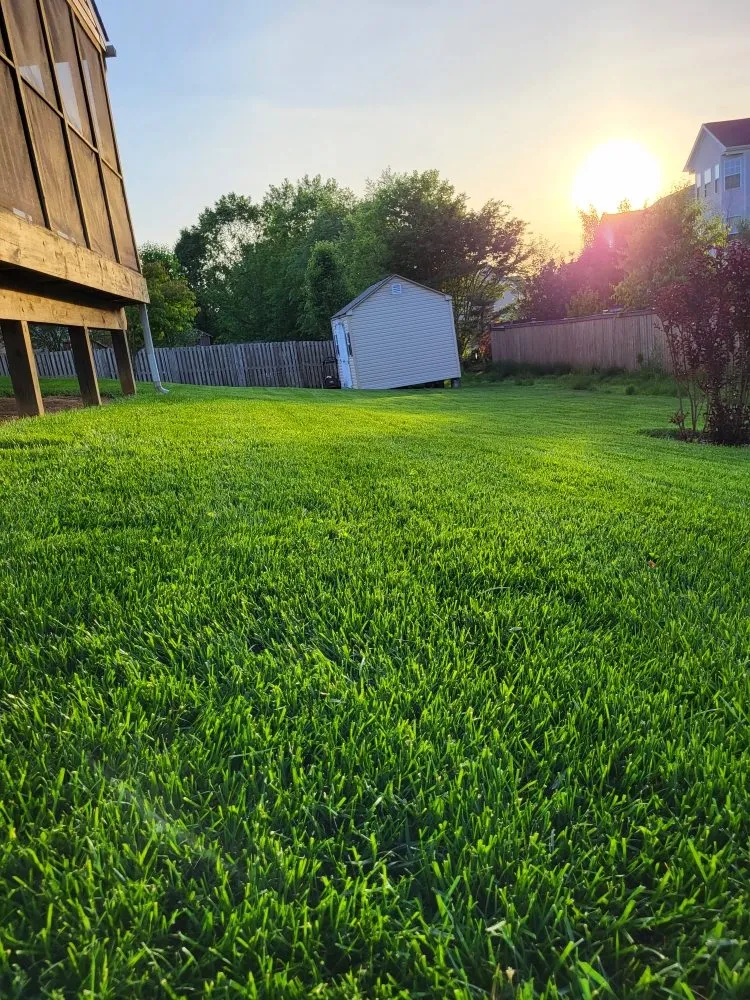 Trusted yard maintenance for year-round maintenance in Strasburg, PA by White Oak Landscaping