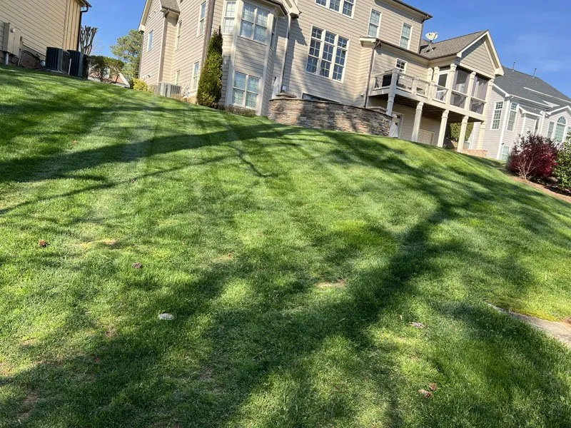 Reliable landscape installation for residential properties across Raleigh, NC - White Oak Lawn & Landscaping