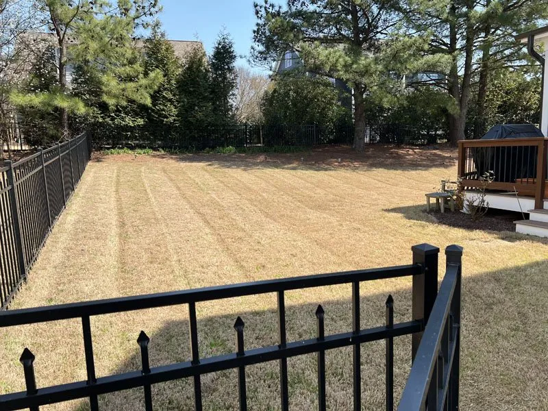 Trusted yard maintenance for beautiful yards across Raleigh, NC - White Oak Lawn & Landscaping