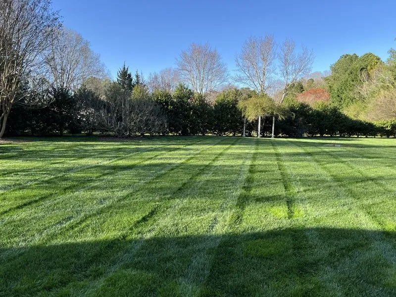 Reliable residential landscaping in Raleigh, NC - White Oak Lawn & Landscaping