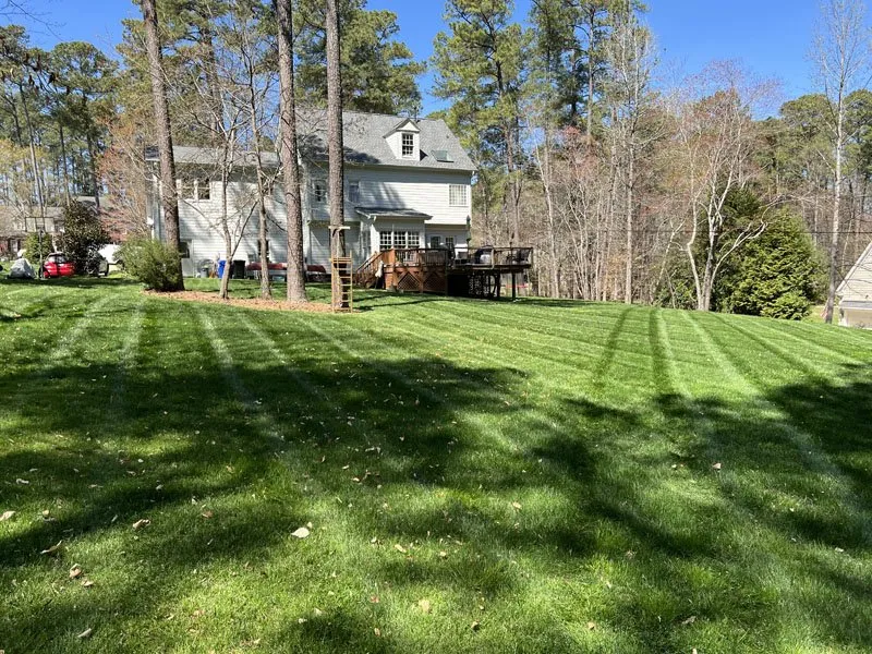 Affordable residential landscaping in Raleigh, NC by White Oak Lawn & Landscaping