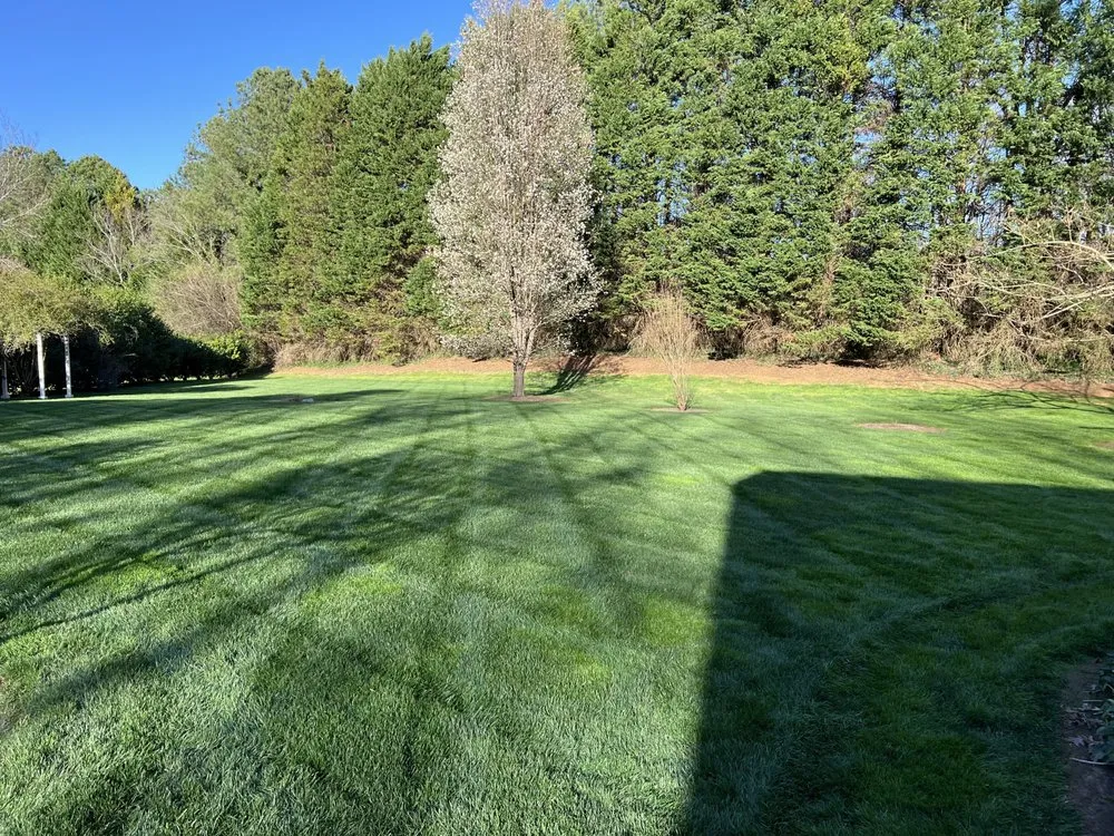 Local yard maintenance for residential properties across Raleigh, NC - White Oak Lawn & Landscaping