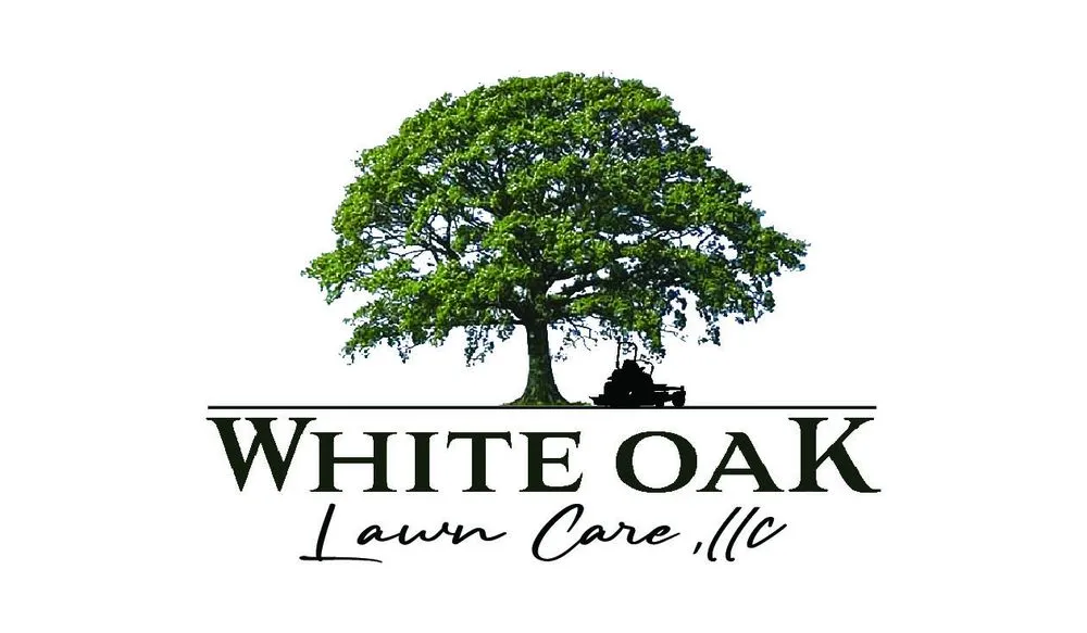 Trusted yard cleanup service for beautiful yards in Manning, SC by White Oak Lawn Care