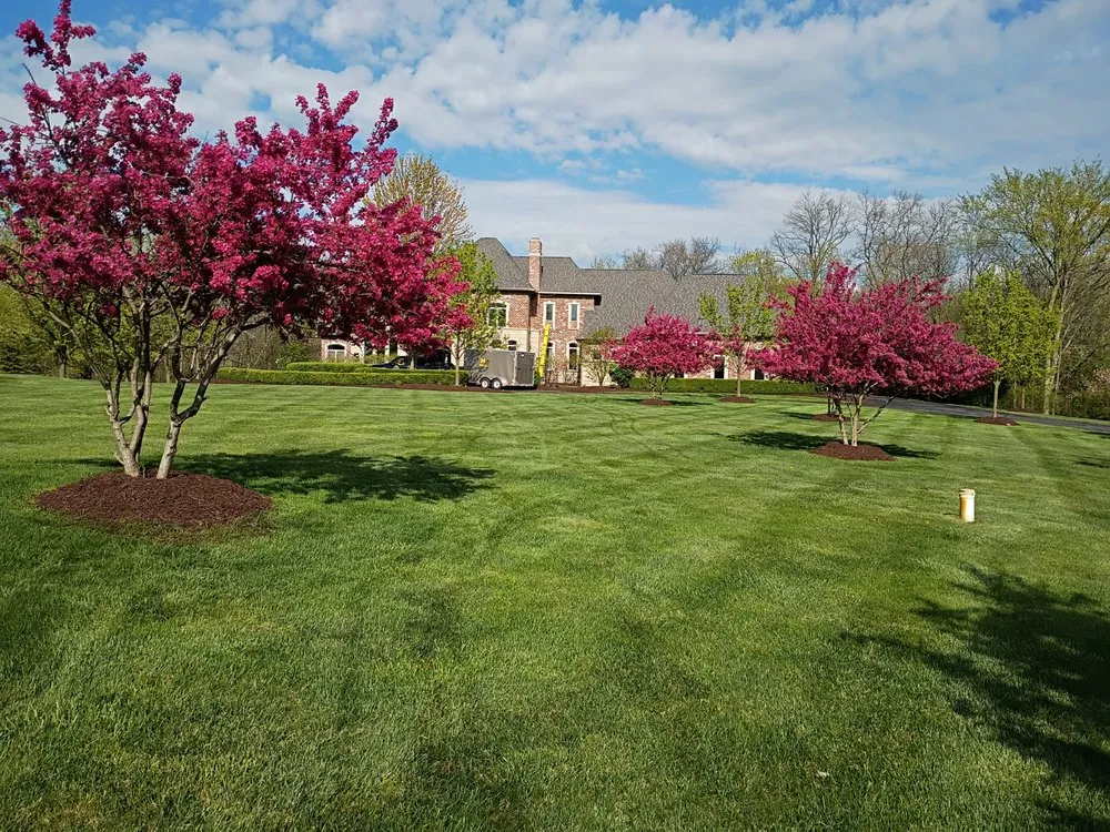 Affordable yard maintenance for outdoor upgrades in Ann Arbor, MI by White oak services