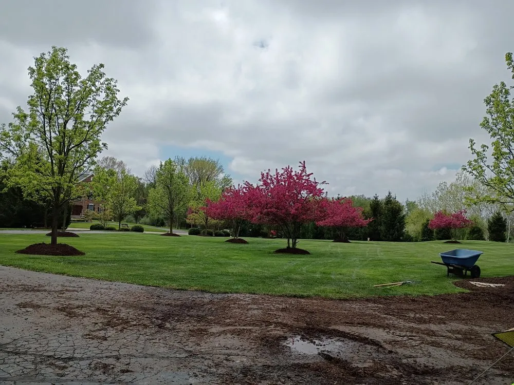 Reliable landscape installation experts serving Ann Arbor, MI - White oak services