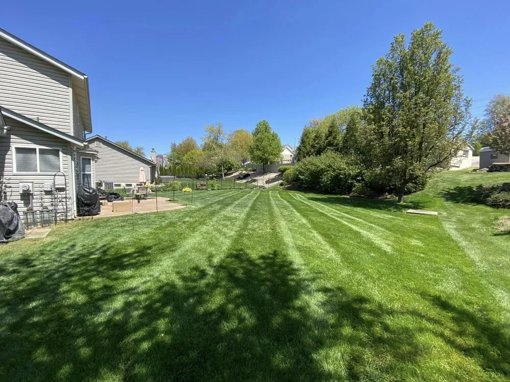 Professional outdoor landscaping for beautiful yards in St. Peters, MO by White Outdoor Solutions