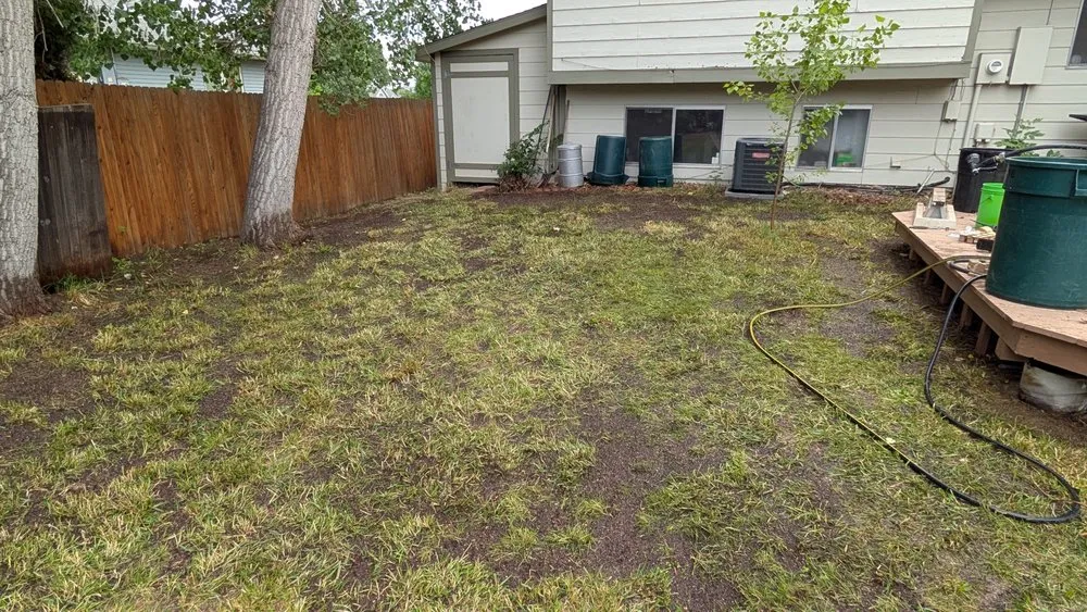 Affordable landscaping services in Morrison, CO by White Owl Landscape Maintenance