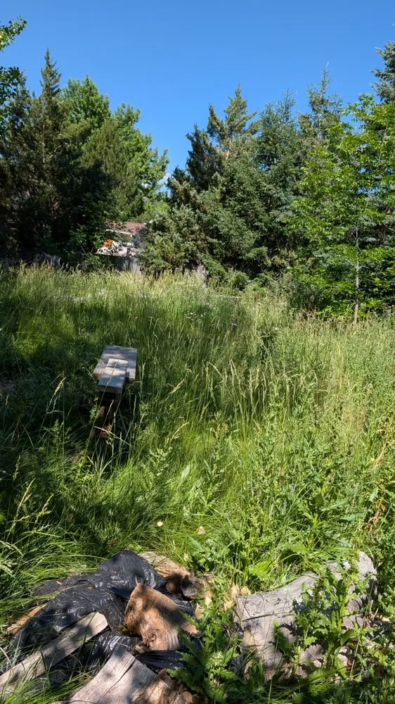 Reliable yard maintenance for beautiful yards in Morrison, CO by White Owl Landscape Maintenance