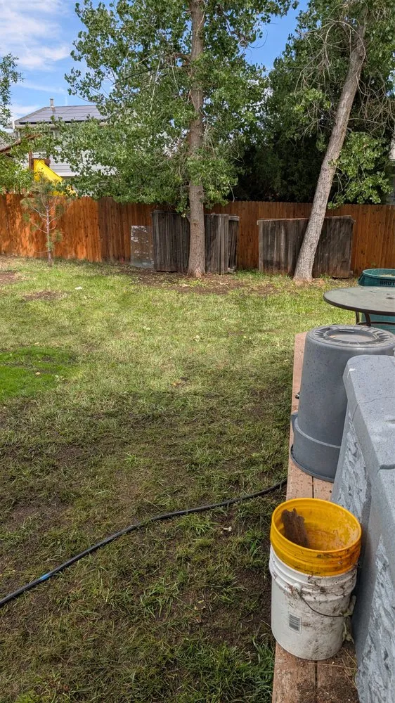 Custom outdoor landscaping for year-round maintenance in Morrison, CO by White Owl Landscape Maintenance