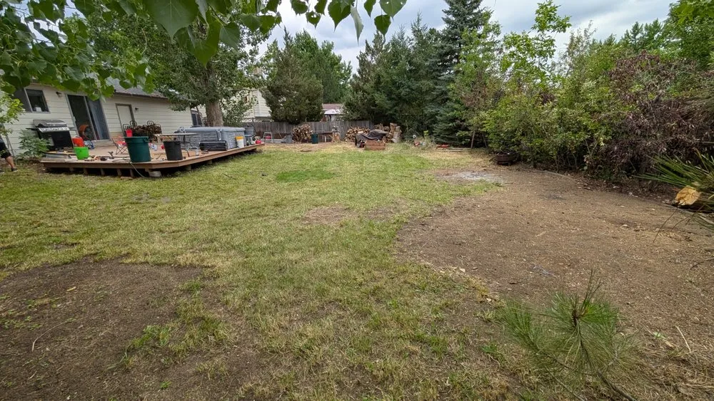 Trusted lawn mowing service for outdoor upgrades across Morrison, CO - White Owl Landscape Maintenance