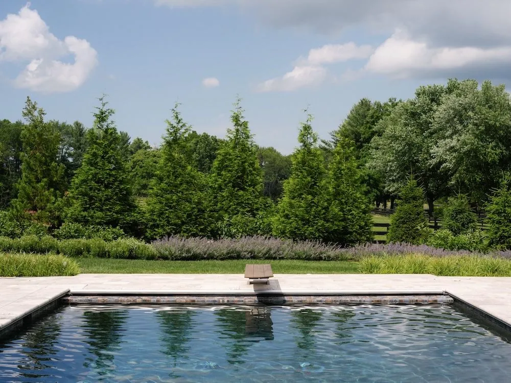 Professional outdoor landscaping with custom design in Leesburg, VA by White Pearl Management