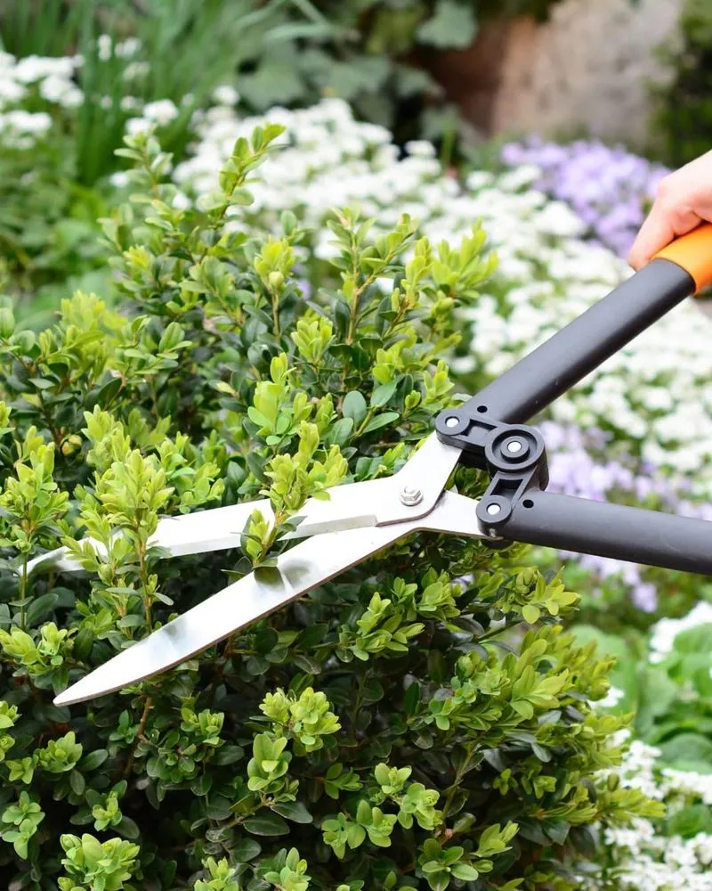 Custom landscape installation in Leesburg, VA by White Pearl Management