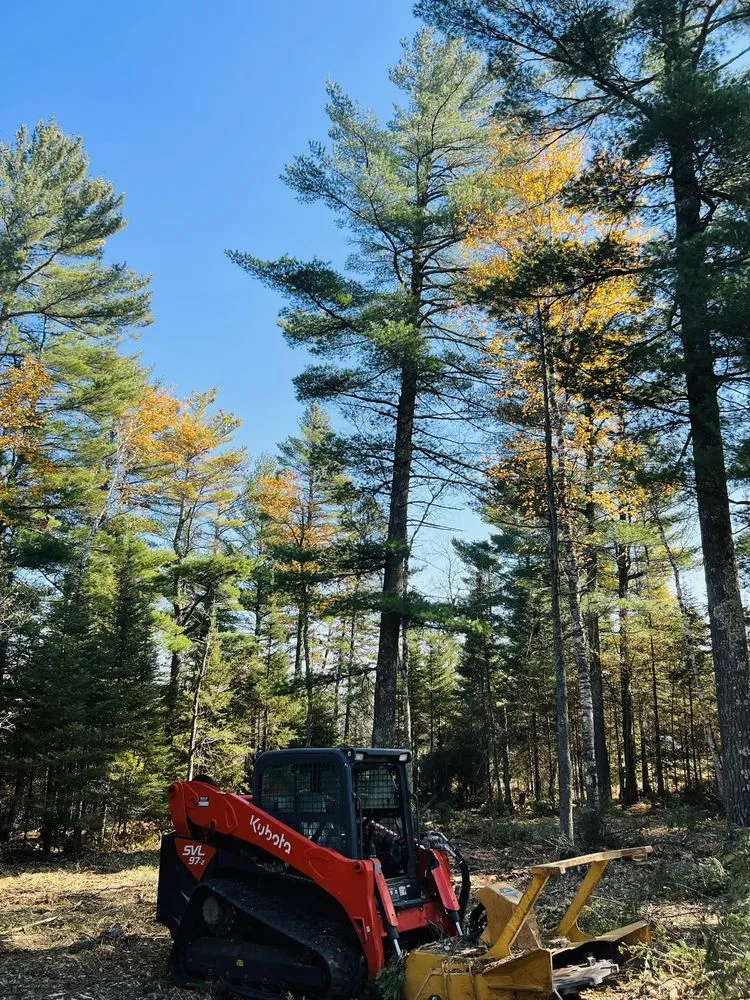 Custom yard cleanup service in Two Harbors, MN - White Pine Forestry & Excavation