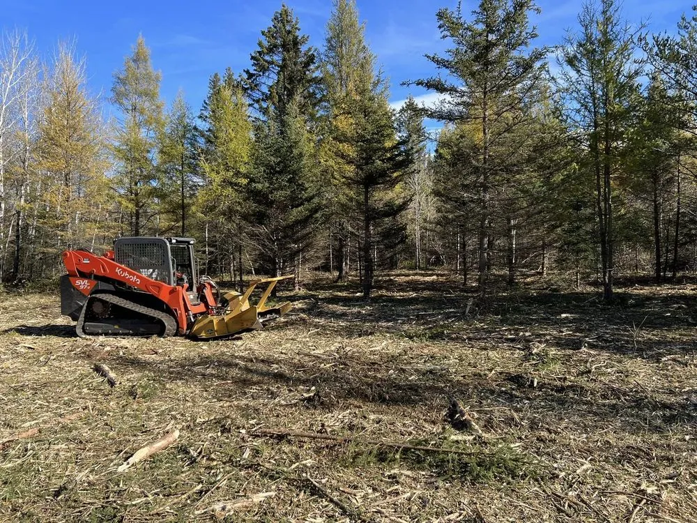 Trusted lawn care service for beautiful yards in Two Harbors, MN by White Pine Forestry & Excavation