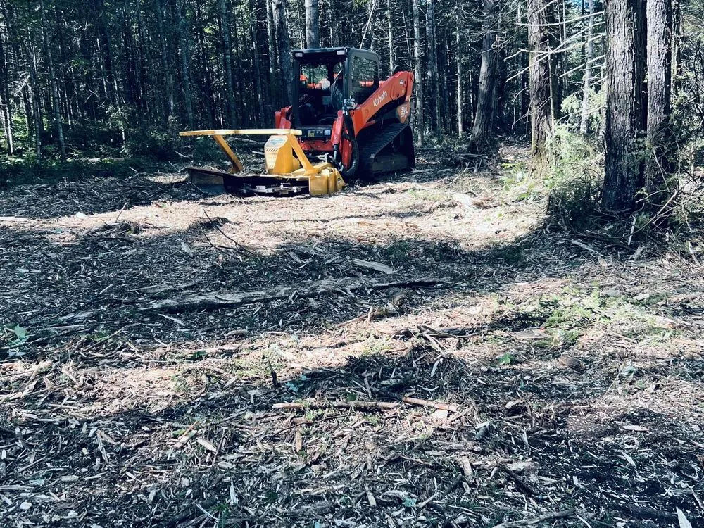 Reliable outdoor landscaping experts serving Two Harbors, MN - White Pine Forestry & Excavation