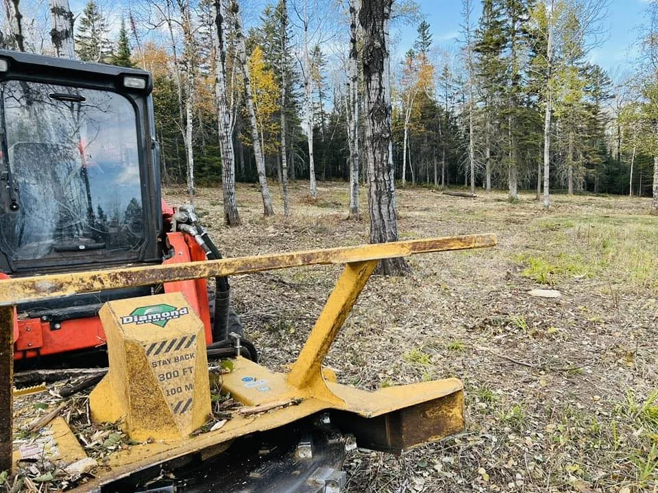 Trusted yard cleanup service for homes in Two Harbors, MN by White Pine Forestry & Excavation