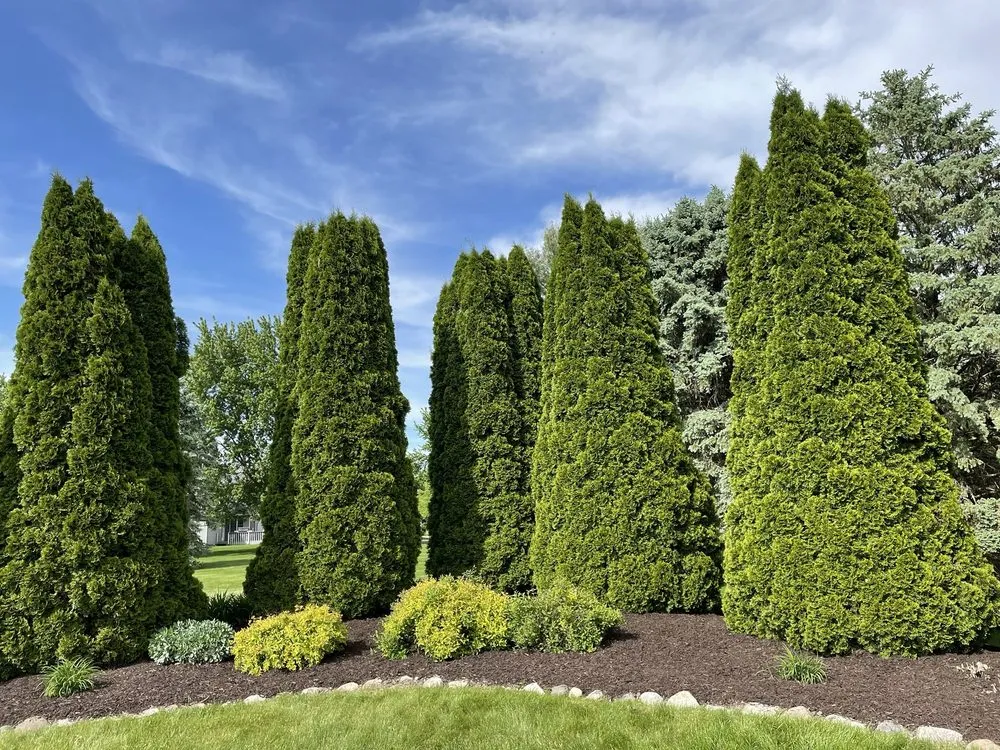 Top-rated outdoor landscaping in Harvard, IL - White Pine Landscaping