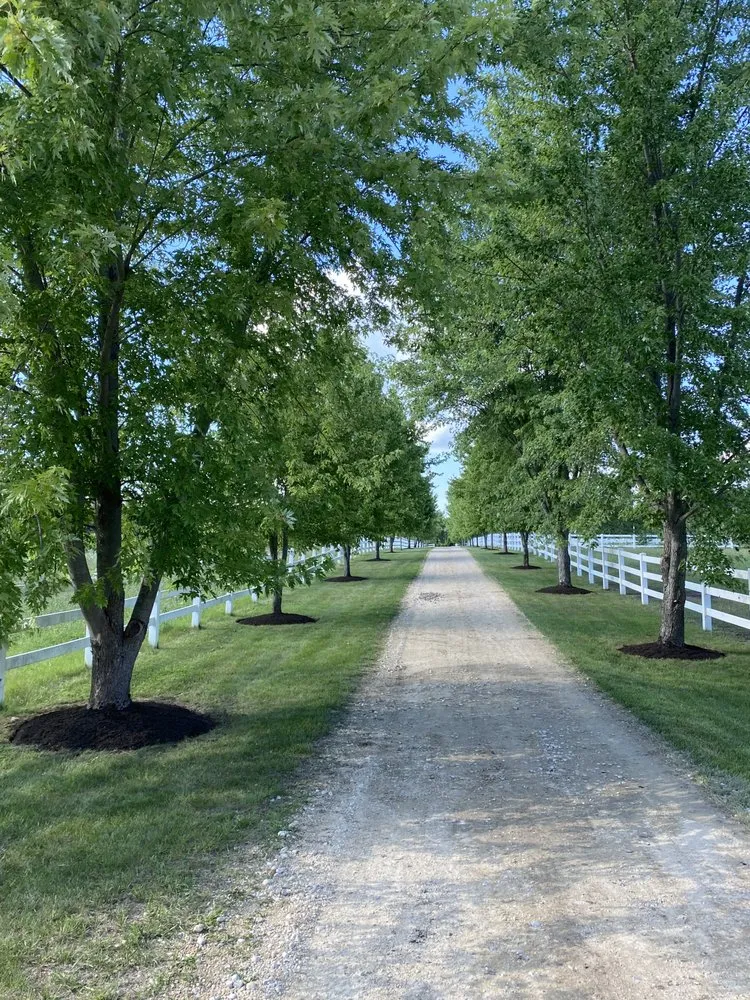 Reliable lawn mowing service experts serving Harvard, IL - White Pine Landscaping